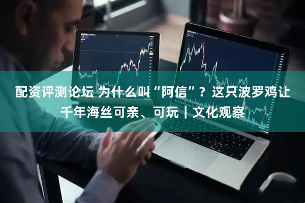 配资评测论坛 为什么叫“阿信”？这只波罗鸡让千年海丝可亲、可玩｜文化观察